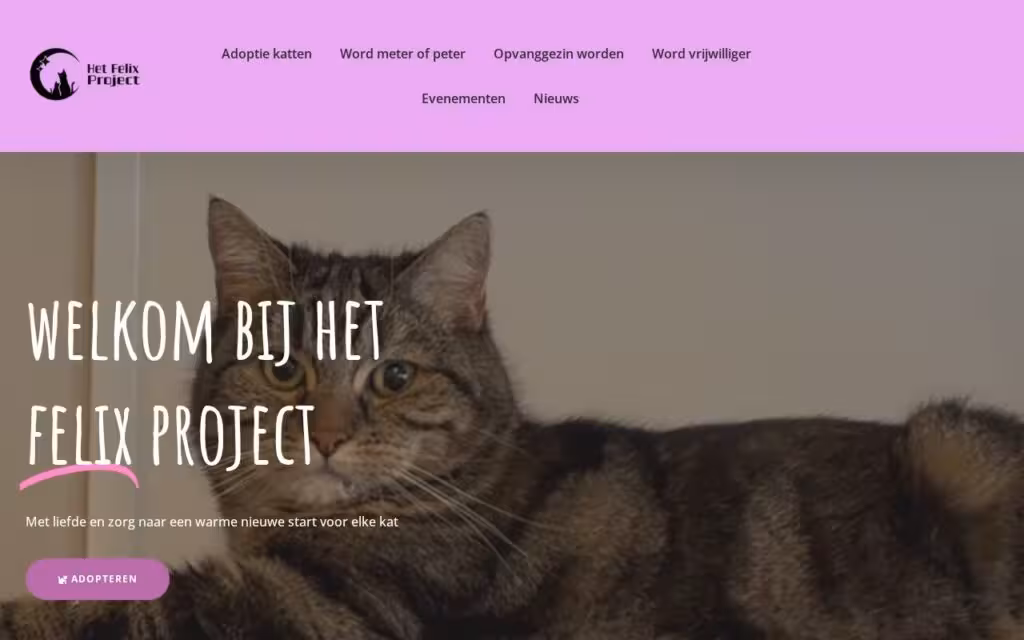 Website van Het Felix Project, een kattenasiel